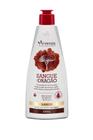 Shampoo sangue de dragao arvensis 300ml