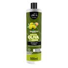 Shampoo Sem Sal Azeite de Oliva + Argan Sallon Linda 500ml