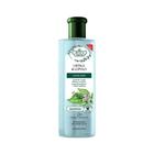 Shampoo Urtiga e Lúpulo Anticaspa Flores E Vegetais 310ml