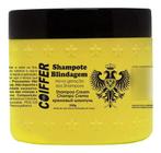 Shampote Blindagem Dos Fios Coiffer 350g Linha Home Care