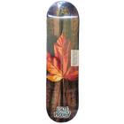 Shape de maple LATE PRODIGY Maple