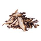 Cogumelo Shitake Shiitake Desidratado 100g (Kit com 2) - GW - Cogumelo  Desidratado - Magazine Luiza