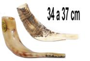 Shofar Chifre De Carneiro De Tocar - 34 A 36 Cm - De Israel