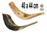 Shofar Chifre De Carneiro De Tocar - De Israel