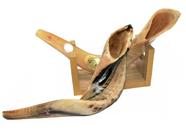 Shofar Chifre De Carneiro De Tocar + Suporte - De Israel