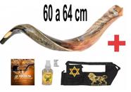 Shofar De Chifre Antilope + Capa - De Israel 60 a 64 cm