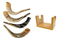 Shofar De Chifre De Carneiro De Tocar + Suporte - De Israel