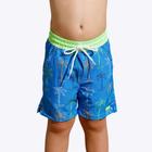 Shorts Azul Palmeira Infantil Masculino 52167