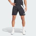 Shorts Fortore 23 - Adidas