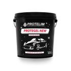 Silicone Gel Automotivo Protegel New Protelim 3,6kg