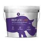 Silicone para Muralha Yller Reflex LAB 10Kg