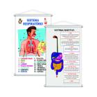 Sistema Respiratório + Digestivo Kit 2 Banners 80x50cm