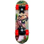 Skate Infantil - Dino - DM Radical Jr - DM Toys