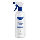 Smart Clorex Clean Solução Higienizante com Clorexidina 500ml - Smart GR