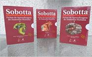 Sobotta - Fichas De Aprendizagem De Anatomia Humana 3 Volumes. - Grupo Gen