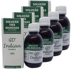 Solução Tira Manchas Escuras Da Pele Gd Indian 100ml