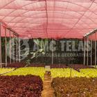 Sombrite Tela de Sombreamento Vermelha Horta 35% 1,5X50 - AMC TELAS AGRICOLAS