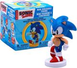 Lego Sonic THE Hedgehog - ILHA de Resgate Animal da AMY – Starhouse Mega  Store