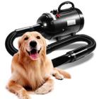 Soprador Secador 3200w Profissional Banho Tosa Gato Cachorro GT965