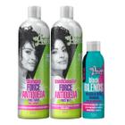 Soul Power Force Hair Antiqueda Sh 315ml + Cond 315ml + Blends Óleo 100ml