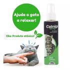 Spray Atrativo Cat Nip Para Gatos 120ml - Pet Clean