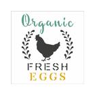 Stencil de Acetato para Pintura OPA Simples 10 x 10 cm 2903 Farmhouse Organic Fresh Eggs