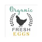 Stencil de Acetato para Pintura OPA Simples 14 x 14 cm 2923 Farmhouse Organic Fresh Eggs