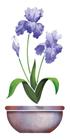 Stencil Litoarte 20x25 Orquidea no Vaso - Acetato