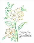 Stencil Pintura Organico Jasmim Gardenia 3365 20x25 Opa