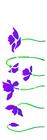 Stencil Simples Flor Papoulas 2225 10x30 Opa