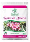 Substrato 40 Litros Para Rosa Do Deserto Terra Vegetal /20kg