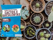 Substrato para Cactos e Suculentas 4kgs Crescimento Saudável e Drenagem Perfeita