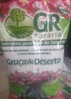 Substrato Para Rosa Do Deserto - Gr agraria