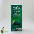 Suco de uva organico 200ml