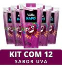 Suco kapo uva del valle 200ml kit 12 unidades