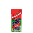 Suco Maguary Nectar de Uva 200ml