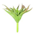 Suculenta Aloe Vera Mini Artificial Babosa para Arranjos - Verde Garden