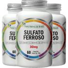 Sulfato Ferroso 500mg 3 X 60 Cápsulas - Flora Nativa