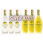 Super Kit 6 Licores De Limão Bottega Executivo