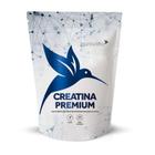 Suplemento Alimentar Creatina Premium Vegano PuraVida 300g Creatina Com Selo Creapure