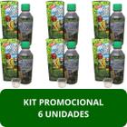 Suplemento Alimentar Xarope da Vovó Original Frasco 250ml Kit Promocional 6 Unidades