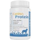 Suplemento Caninus Protein Para Cães Avert 100g