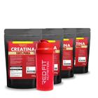 Suplemento em Pó Red Fit Nutrition 100% Puro Importado C/ Laudo Kit Creatina 250g ( 4 Unidades )