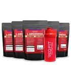 Suplemento em Pó Red Fit Nutrition 100% Puro Importado C/ Laudo Kit L-Arginina 150g ( 5 Unidades )