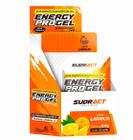 Suplemento Energético Energy Pro Gel 10 Sachês 30g Sabor Laranja Sudract