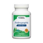 Suplemento: Extrato de Andrographis PREFERIDO PELOS MÉDICOS, 1000 mg - DOCTORS' PREFERRED