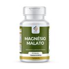 Suplemento Malato de Magnesio 500mg 100% Pura 60 capsulas