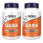 Suplemento NOW Foods GABA 750 mg 100 Vcaps (pacote com 2)