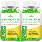 Suplemento OALSE Organic Sea Moss Gummies 60 ct (pacote com 2)