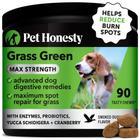 Suplemento Pet Honesty Grass Green Max Strength para cães 90 quilates